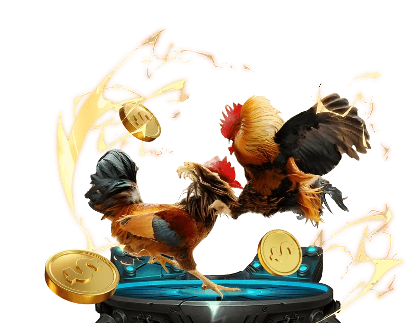 Hướng dẫn đăng nhập nha cai 5